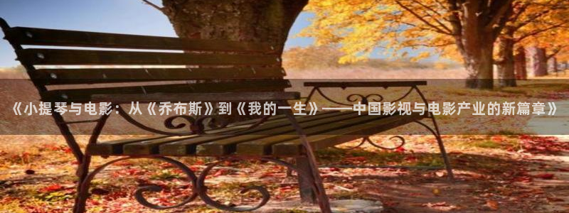 有私人影院吗：《小提琴与电影：从《乔布斯》到《我的一生》——中国影视与电影产业的新篇章》