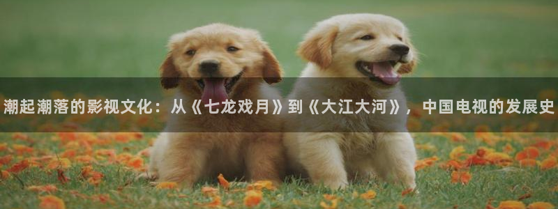 宁波哪里有私人影院：潮起潮落的影视文化：从《七龙戏月》到《大江大河》，中国电视的发展史