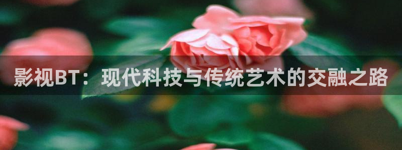 私人影院 日本：影视BT：现代科技与传统艺术的交融之路