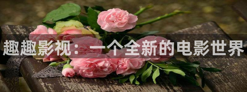 未成年可以去私人影院：趣趣影视：一个全新的电影世界