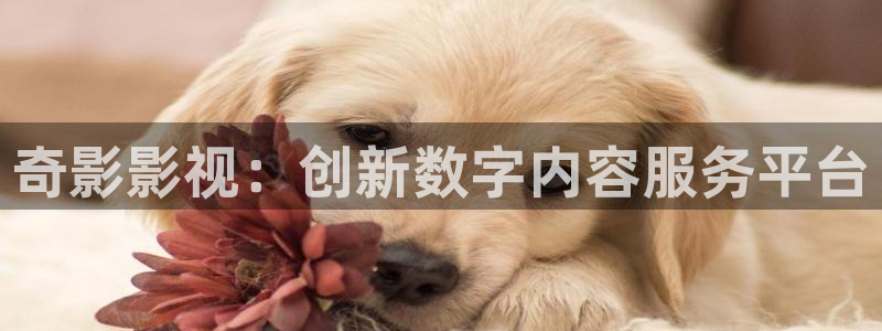 国内私人影院：奇影影视：创新数字内容服务平台