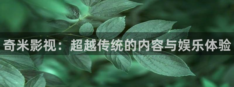 4480高清私人影院：奇米影视：超越传统的内容与娱乐体验