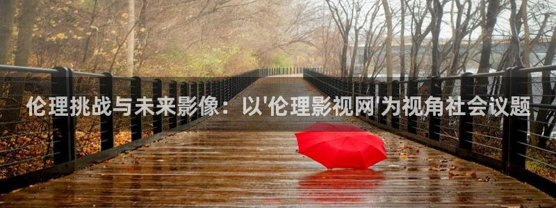 私人小影院设备：伦理挑战与未来影像：以\'伦理影视网\'为视角社会议题
