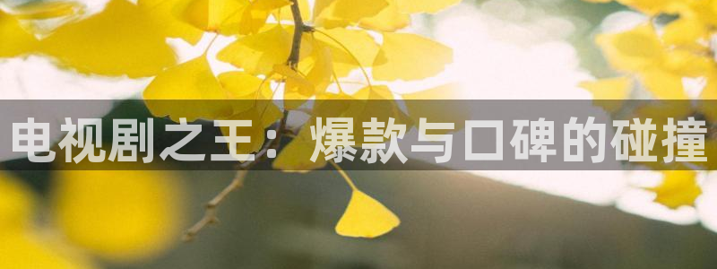附近哪有私人影院：电视剧之王：爆款与口碑的碰撞