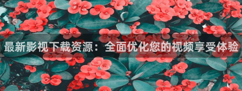 在线私人影院黄：最新影视下载资源：全面优化您的视频享受体验