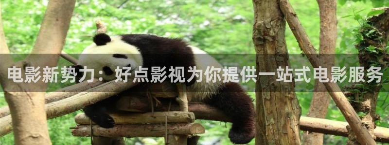 偃师私人影院：电影新势力：好点影视为你提供一站式电影服务