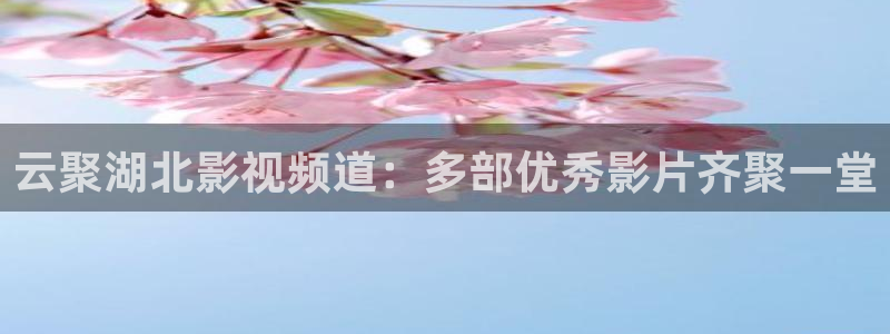私人家庭影院在线观看：云聚湖北影视频道：多部优秀影片齐聚一堂