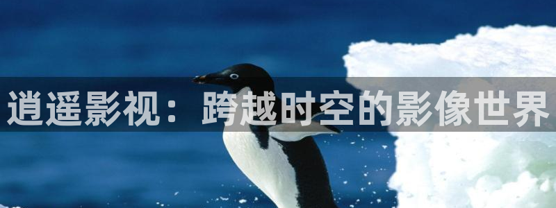 私人家庭影院51：逍遥影视：跨越时空的影像世界