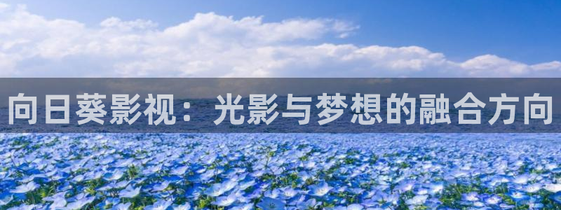 秋霞电影网私人影院伦理片：向日葵影视：光影与梦想的融合方向