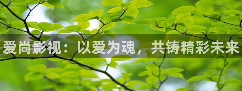 顶级的私人影院：爱尚影视：以爱为魂，共铸精彩未来